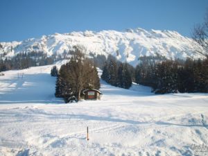 UA130223ZOBLEN60.JPG